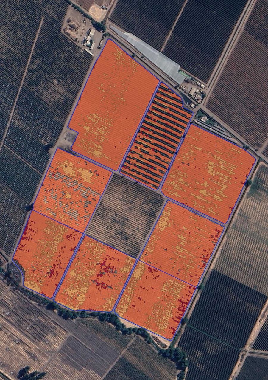 Zonas de manejo según índice NDRE en cuarteles de cerezos